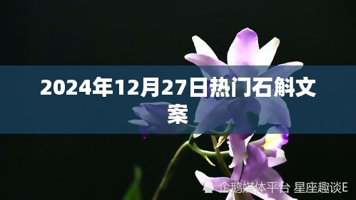 石斛盛宴，2024年年終盛事，盡享冬日養(yǎng)生盛宴