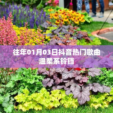 抖音溫柔系鈴鐺熱歌盤點