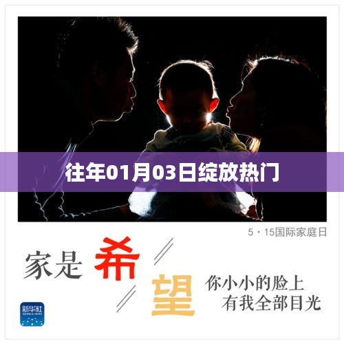 往年元旦后綻放熱門風(fēng)采
