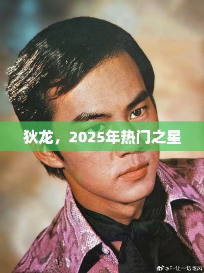 狄龍，未來之星，2025年矚目之選