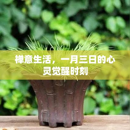 禪意生活，一月三日的內(nèi)心覺(jué)醒時(shí)刻