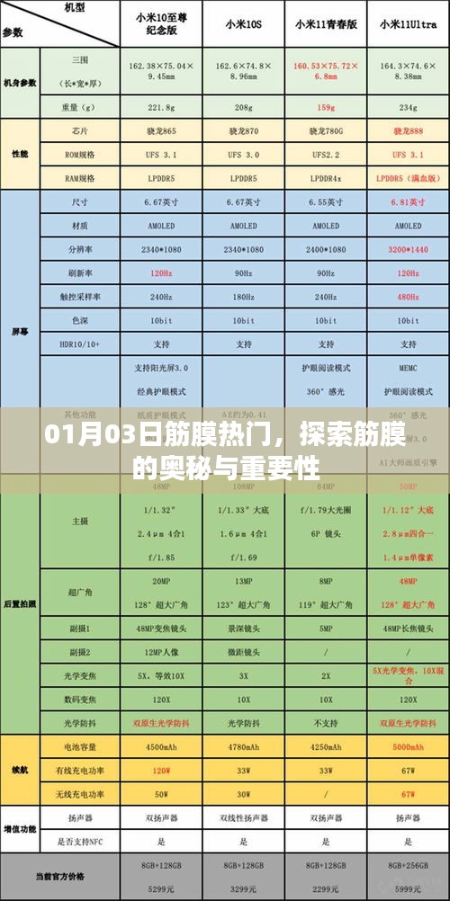 筋膜奧秘揭秘，探索筋膜的重要性與熱門話題