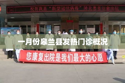 皋蘭縣一月份發(fā)熱門診情況概覽