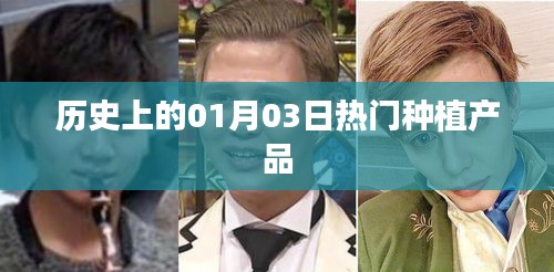 熱門種植產品的歷史一月三日回顧