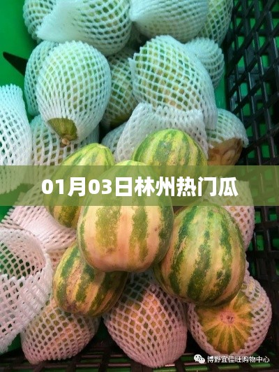 林州最新熱門事件揭秘，一月三日熱議瓜