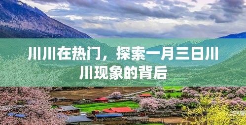 揭秘川川現(xiàn)象背后的秘密，一月三日川川為何如此熱門？