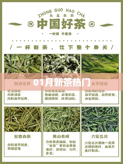 01月新茶風(fēng)潮來襲，熱門茶葉推薦