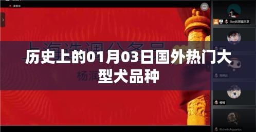 雍容典雅 第4頁
