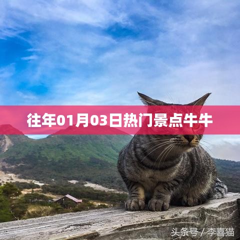 「往年元旦熱門景點牛牛大賞」