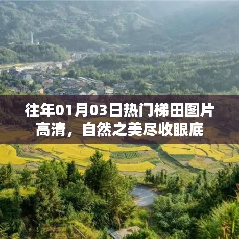 往年元旦梯田美景高清圖集，自然景色盡收眼底