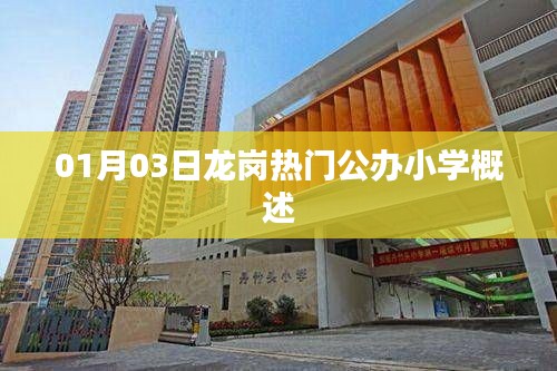 龍崗熱門公辦小學(xué)概覽，01月03日最新介紹