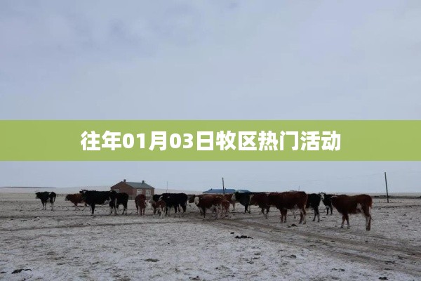 牧區(qū)新年歡慶活動盛況回顧
