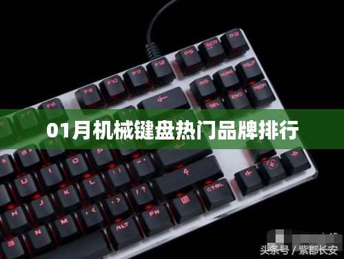 熱門機械鍵盤品牌排行榜揭曉，一月份榜單更新