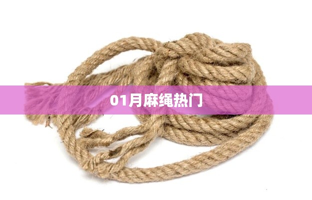 麻繩熱門風(fēng)潮揭秘，一月熱議焦點
