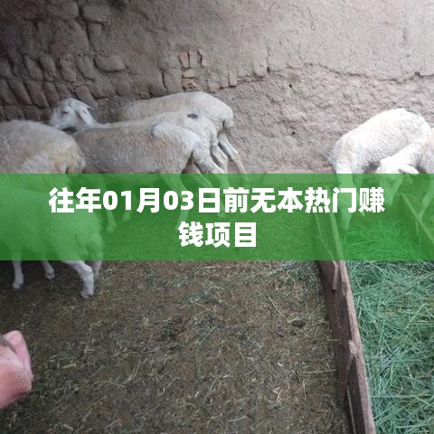新年熱門賺錢項目前瞻，年前商機探索