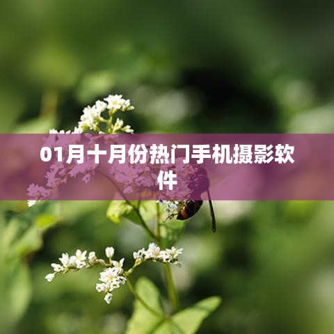 一月份手機攝影軟件大揭秘，熱門應(yīng)用盤點