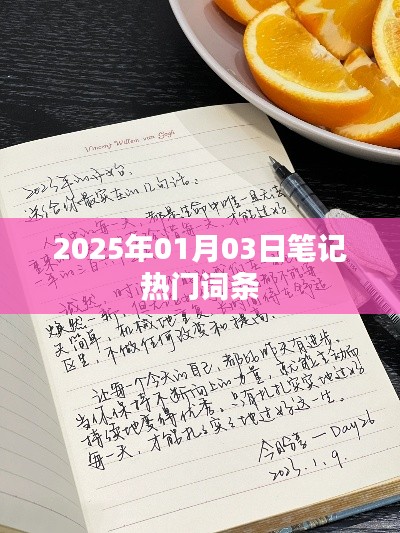 擇善而從 第3頁(yè)