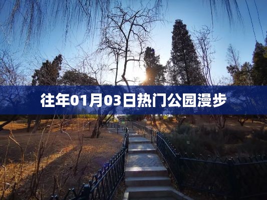 『往年元旦后公園漫步，感受自然之美』