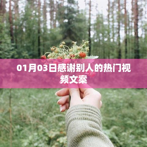 熱門視頻文案，感恩有你，溫馨瞬間永存心間
