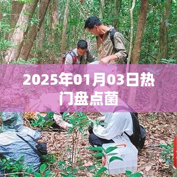 熱門事件大盤點，2025年菌類資訊聚焦