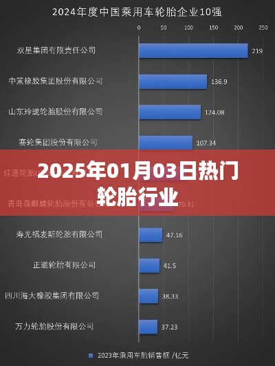 輪胎行業(yè)熱點(diǎn)聚焦，2025年展望