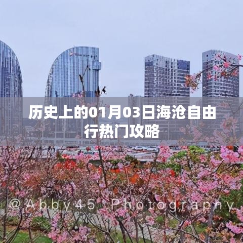 海滄自由行，熱門攻略揭秘，一月三日啟程探索歷史之旅