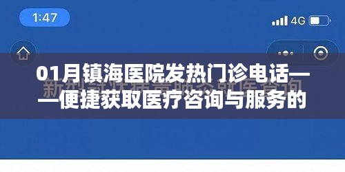 鎮(zhèn)海醫(yī)院發(fā)熱門診電話，醫(yī)療咨詢與服務(wù)指南