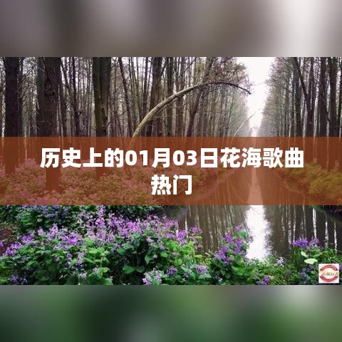 歷史上的花海歌曲熱潮，一月三日回顧