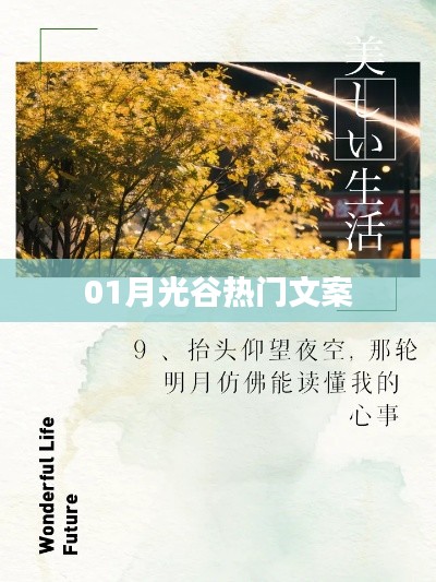 月光谷魅力文案精選