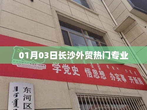 長沙外貿熱門專業(yè)介紹，洞悉行業(yè)趨勢