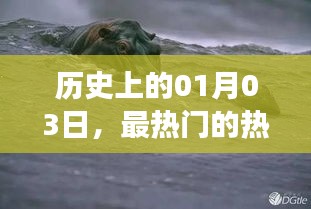 探秘熱門熱帶魚皮球魚，歷史上的1月3日之旅