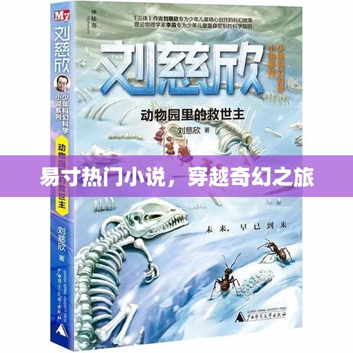 易寸穿越奇幻之旅，熱門小說推薦