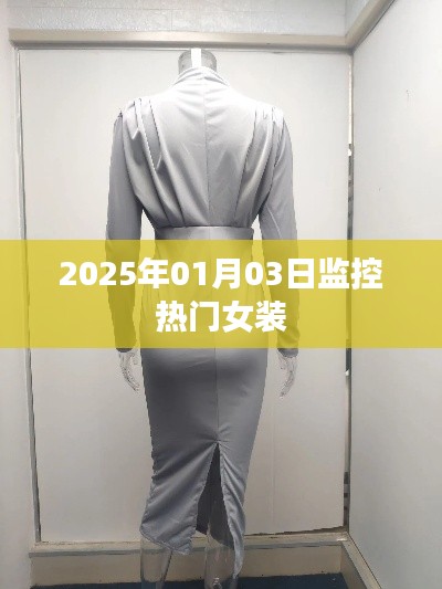 『2025年熱門女裝監(jiān)控風(fēng)向標(biāo)』