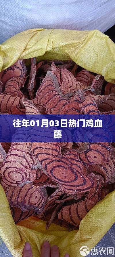 雞血藤的熱門(mén)時(shí)刻，歷年一月初三盛況