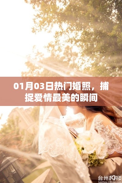精選婚照瞬間，記錄愛情的美麗時刻