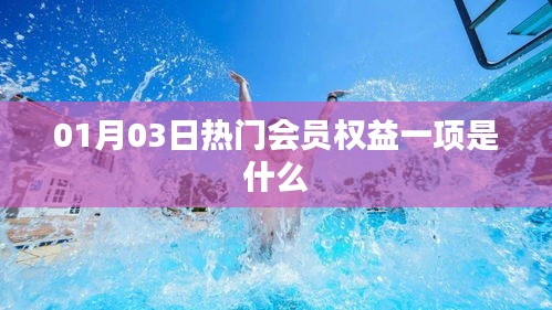 會(huì)員權(quán)益揭秘，最新熱門權(quán)益更新一覽