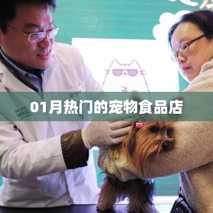 寵物食品店熱門榜單出爐，一月精選推薦！