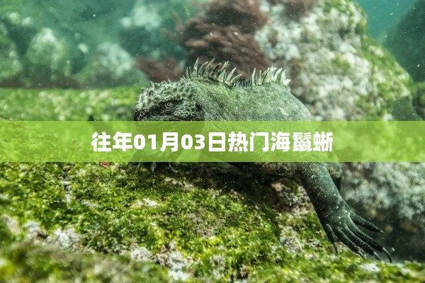 『獨(dú)家揭秘』歷年海鬣蜥元旦盛事回顧