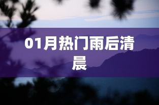 雨晨清新成熱議焦點(diǎn)