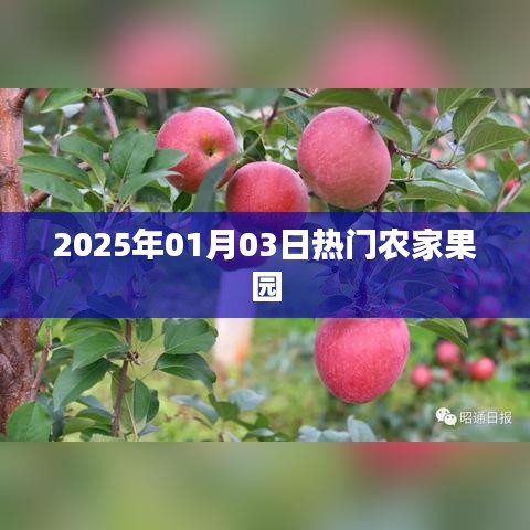 『2025年元旦后農(nóng)家果園的熱門之旅』