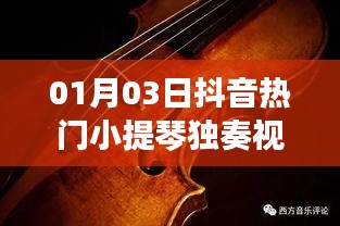 抖音熱門(mén)小提琴獨(dú)奏視頻，音樂(lè)的魔法與魅力