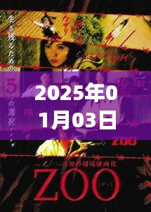 美國小故事電影TOP 5，2025年1月3日必看
