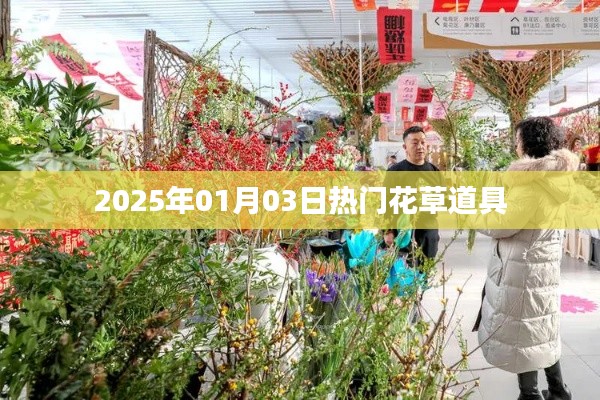2025年熱門花草道具概覽