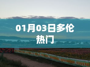 多倫熱點(diǎn)事件，最新動(dòng)態(tài)揭秘