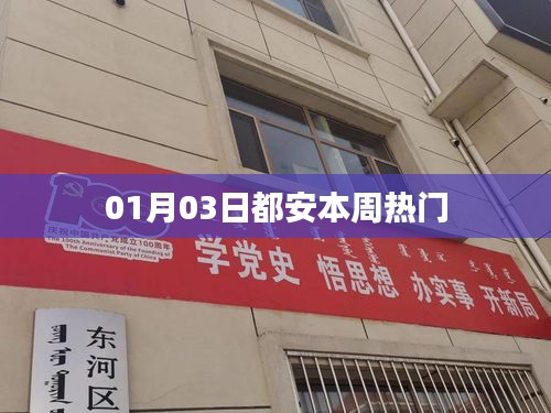 都安一周熱門事件回顧（最新更新）