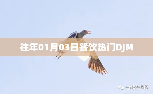 歷年餐飲熱門DJM回顧，歷年一月三日潮流變遷