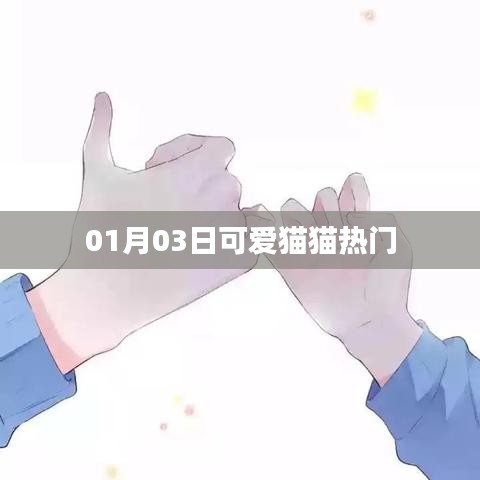 可愛貓貓熱門動態(tài)，一網(wǎng)打盡！