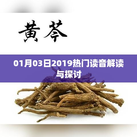 關(guān)于讀音解讀與探討的熱門討論（2019年1月3日）