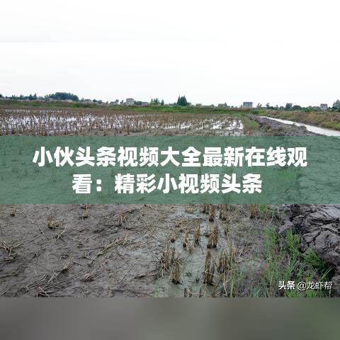 小伙頭條視頻大全最新在線觀看：精彩小視頻頭條 