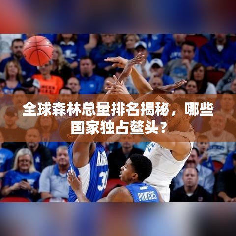 全球森林總量排名揭秘，哪些國(guó)家獨(dú)占鰲頭？